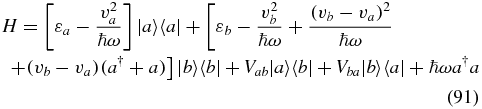 Equation (91)