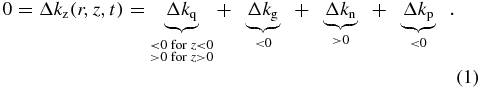 Equation (1)