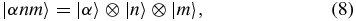 Equation (8)