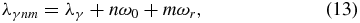 Equation (13)