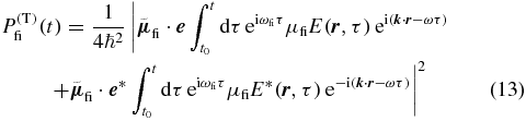 Equation (13)