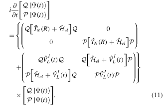 Equation (11)