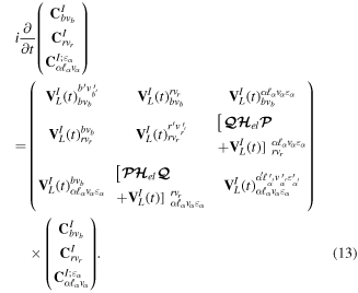 Equation (13)