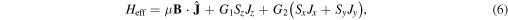 Equation (6)