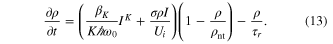 Equation (13)