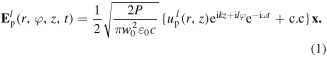 Equation (1)
