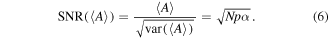 Equation (6)