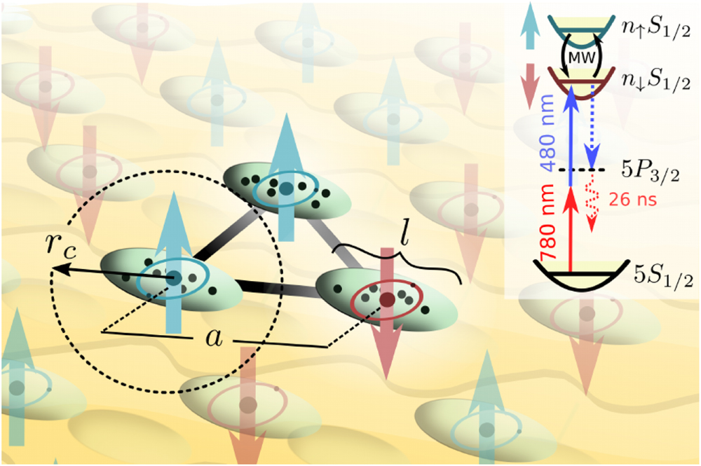 Simulating quantum spin models using Rydberg-excited atomic ensembles ...