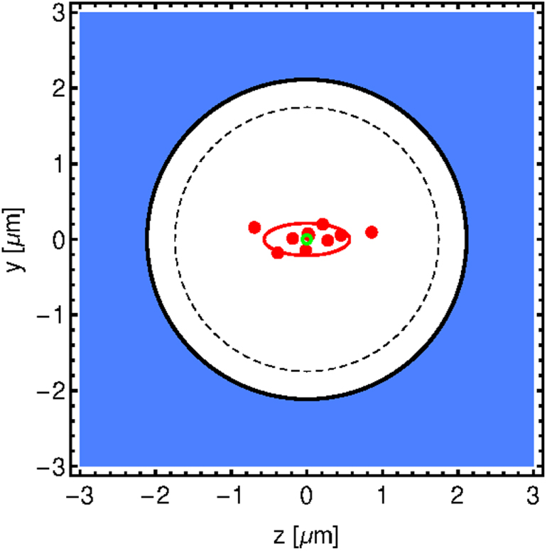 Simulating quantum spin models using Rydberg-excited atomic ensembles ...