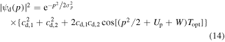 Equation (14)