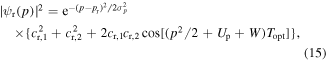 Equation (15)