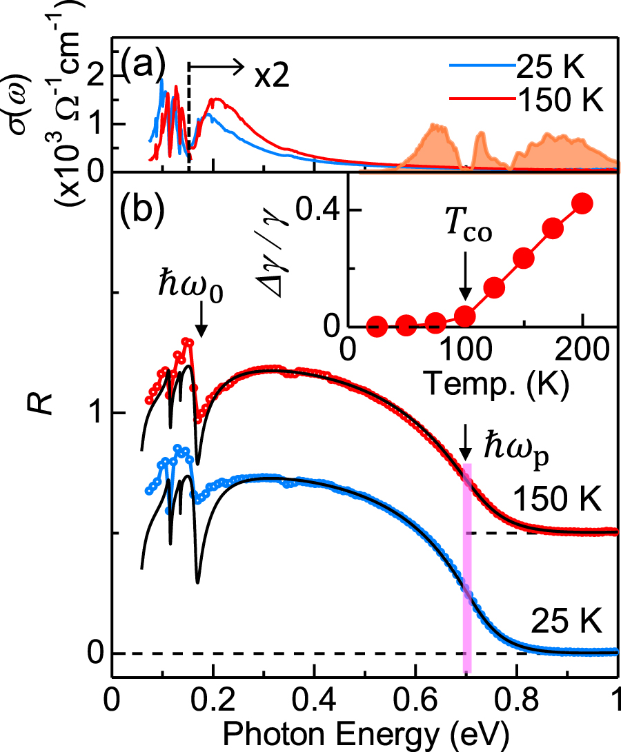 EDGEセット Swisstrax Flooring Systems | Looped Female Edge 12-SERIES