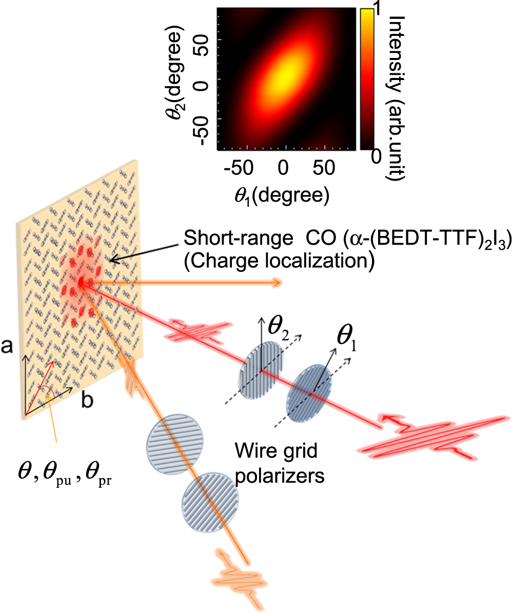 EDGEセット Swisstrax Flooring Systems | Looped Female Edge 12-SERIES