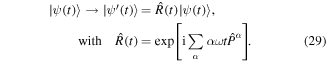 Equation (29)