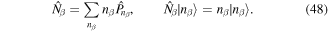 Equation (48)