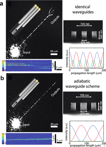 Figure 13. Refer to the following caption and surrounding text.