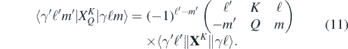 Equation (11)