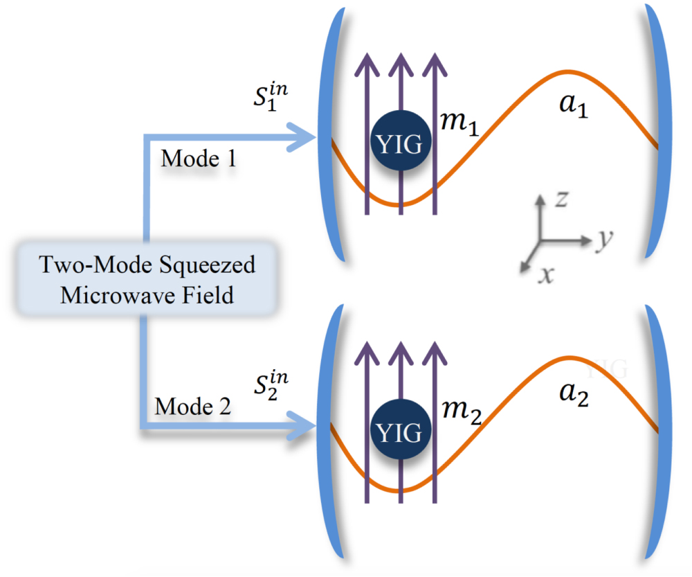 Macroscopic entanglement of two magnon modes via quantum correlated ...