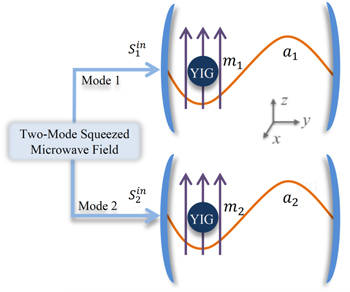 Macroscopic entanglement of two magnon modes via quantum correlated ...