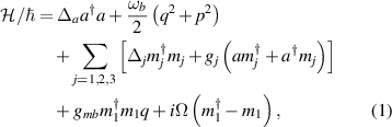 Equation (1)