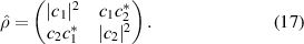 Equation (17)
