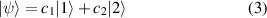 Equation (3)