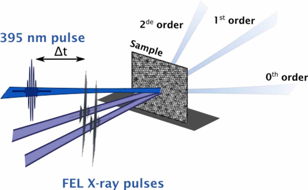 Separation of kinetic rate orders in extreme ultraviolet transient ...