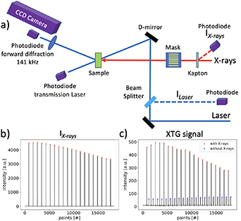 Protocols for x-ray transient grating pump/optical probe experiments at ...