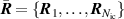 $\bar{\boldsymbol{R}} = \{\boldsymbol{R}_1,\ldots,\boldsymbol{R}_{N_\mathrm{ic}}\}$