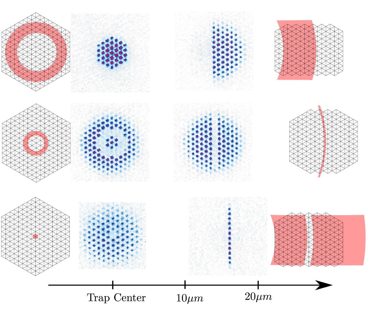 Quantum gas magnification of ultracold atoms in optical lattices ...