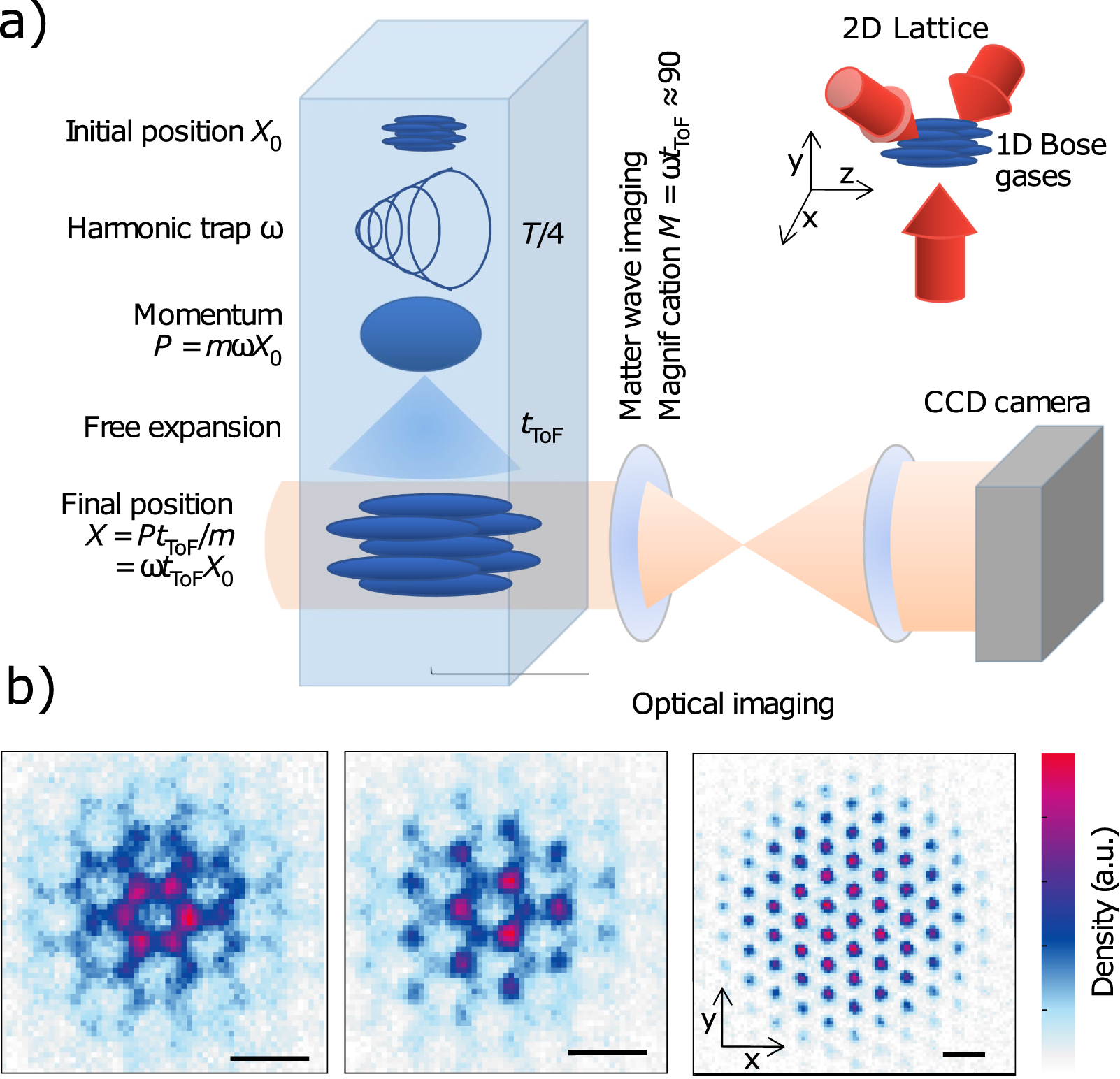 Quantum gas magnification of ultracold atoms in optical lattices ...
