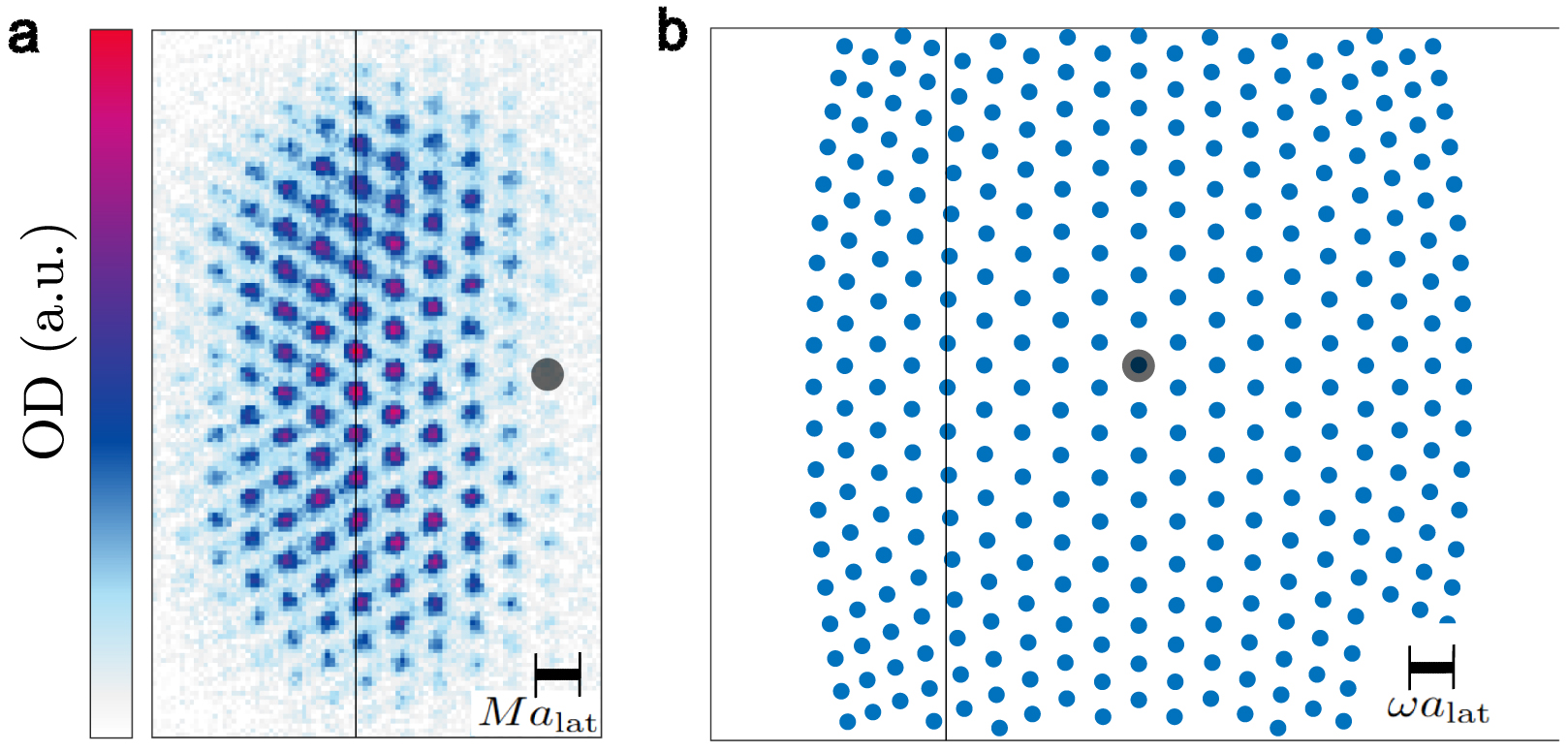 Quantum gas magnification of ultracold atoms in optical lattices ...