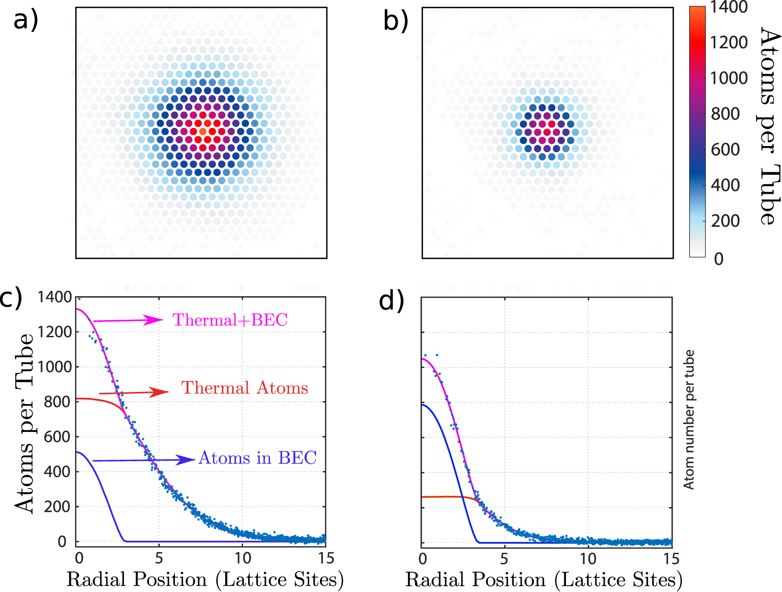 Quantum gas magnification of ultracold atoms in optical lattices ...