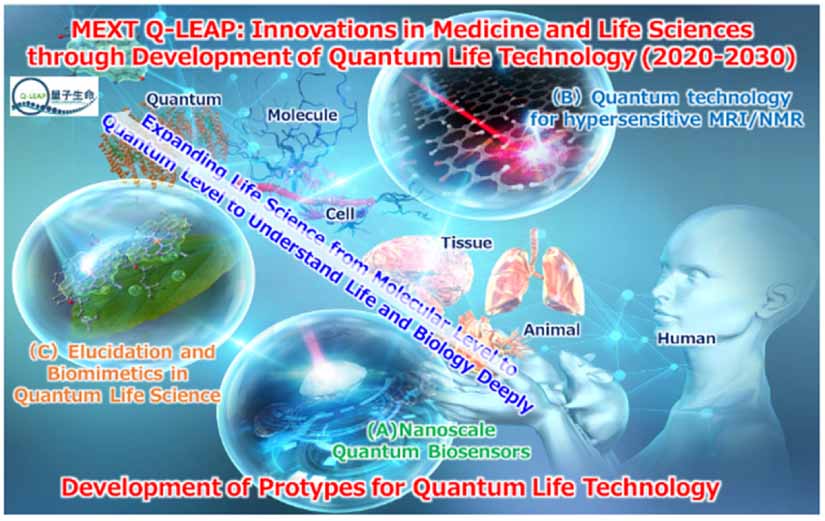 The future of quantum technology as seen from the EU, USA and Japan ...