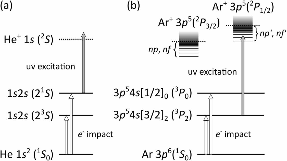 Measurements of absolute cross sections from excited states via double ...