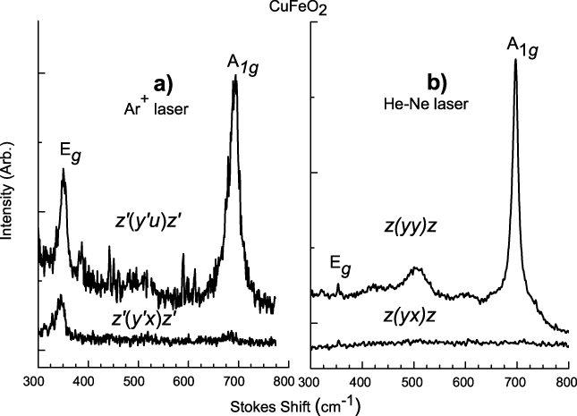 Raman scattering study of delafossite magnetoelectric multiferroic ...