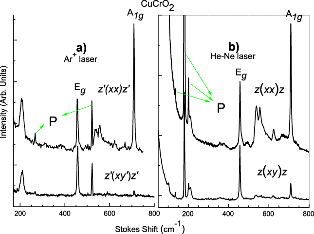 Raman scattering study of delafossite magnetoelectric multiferroic ...