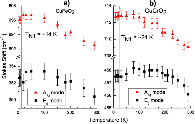 Raman scattering study of delafossite magnetoelectric multiferroic ...