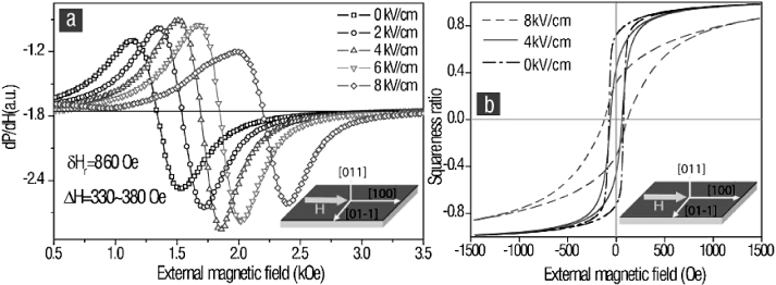 Electric field control of magnetism in multiferroic heterostructures ...