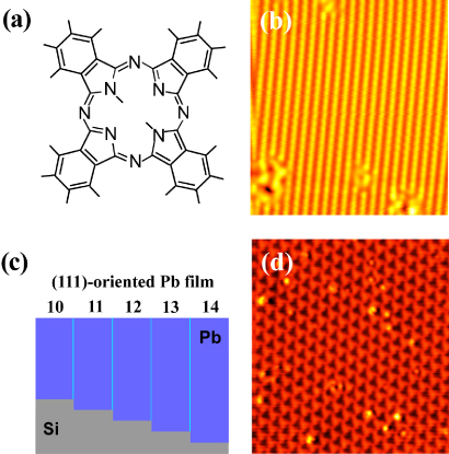 Mechanical properties of H2Pc self-assembled monolayers at the single ...