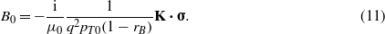 Equation (11)