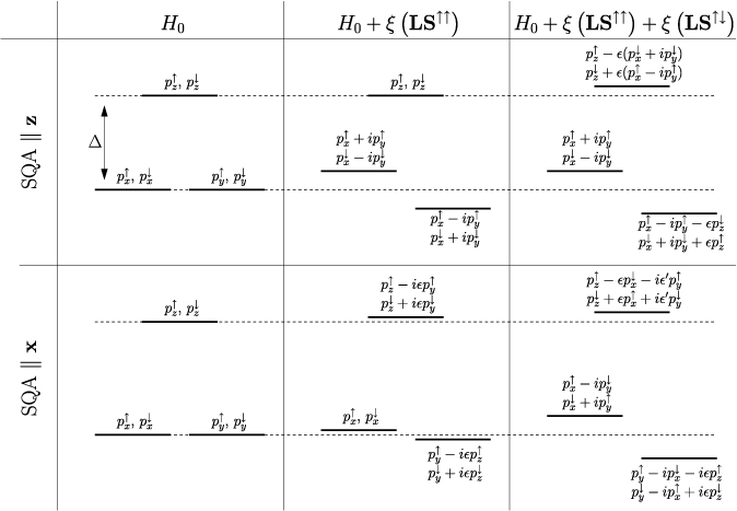 Anisotropy of spin relaxation and transverse transport in