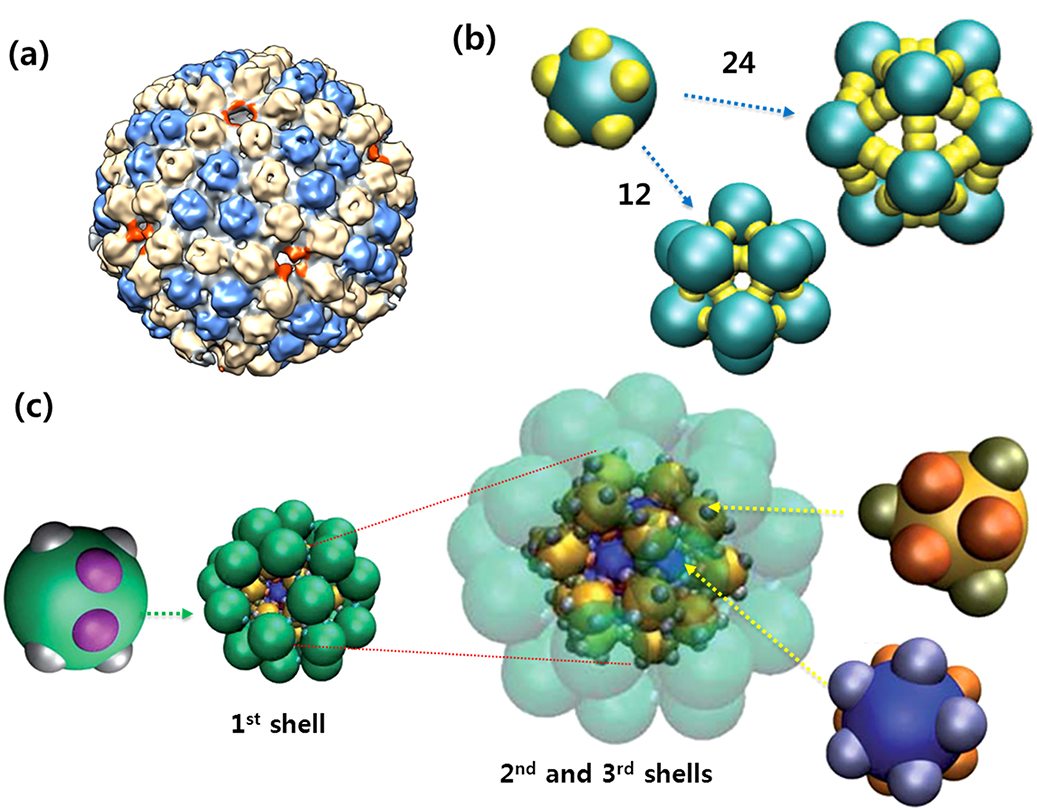 Recent progress on patchy colloids and their self-assembly - IOPscience