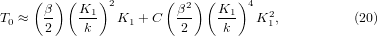 Equation (20)