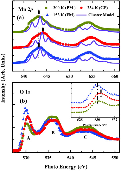 The role of the hybridization between Mn 3d and O 2p