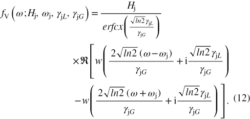 Equation (12)