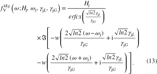 Equation (13)
