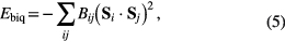 Equation (5)