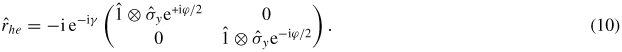 Equation (10)