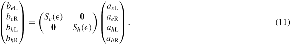 Equation (11)